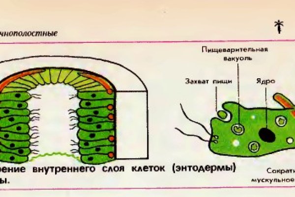 Ошибка на сервере кракен