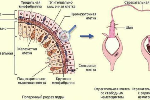 Кракен зарегистрироваться