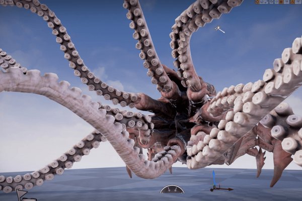 Kraken 5at